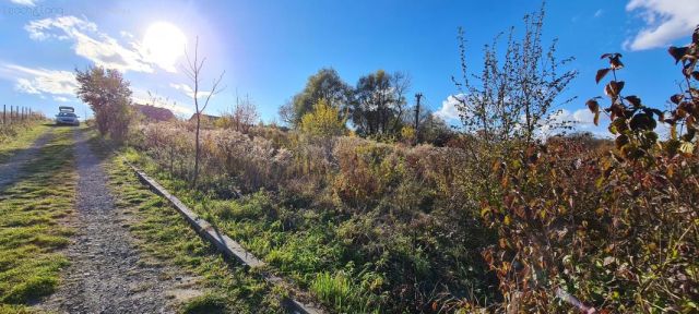 Działka rolno-budowlana Zamłynie. Zdjęcie 3