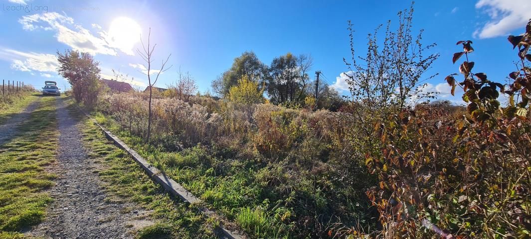 Działka rolno-budowlana Zamłynie. Zdjęcie 3