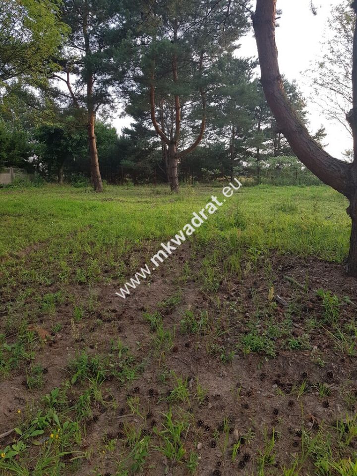 Działka budowlana Radziejowice-Parcel. Zdjęcie 5