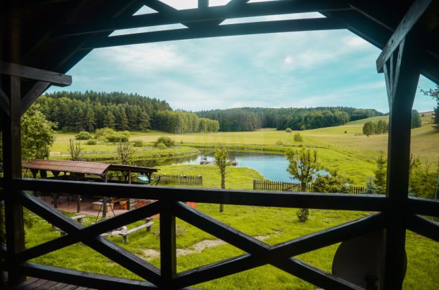 dom wolnostojący, 14 pokoi Rychnowska Wola. Zdjęcie 24