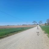 Działka budowlana Woźniki. Zdjęcie 3