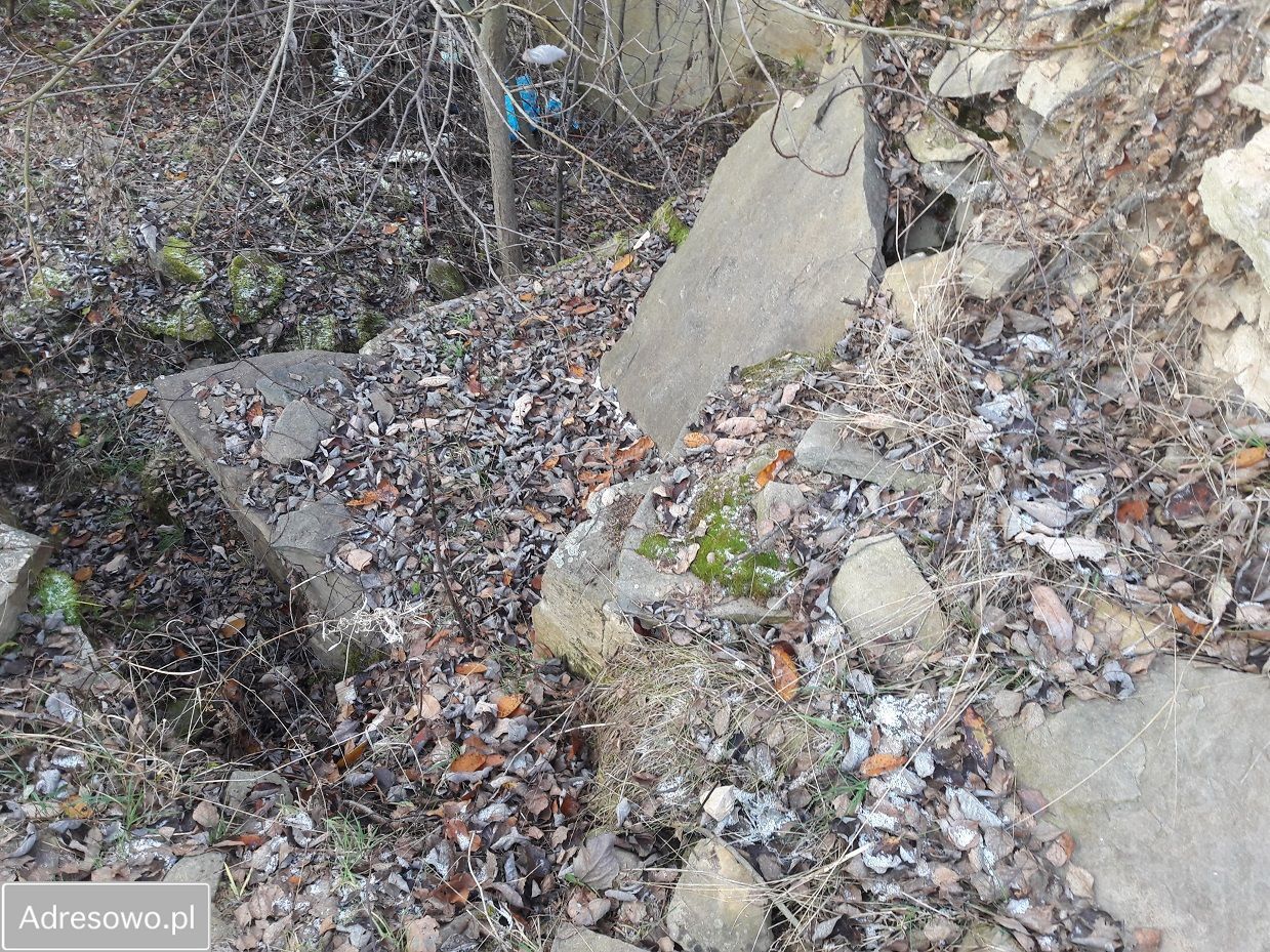 Działka inwestycyjna Szydłowiec, ul. Polna. Zdjęcie 6