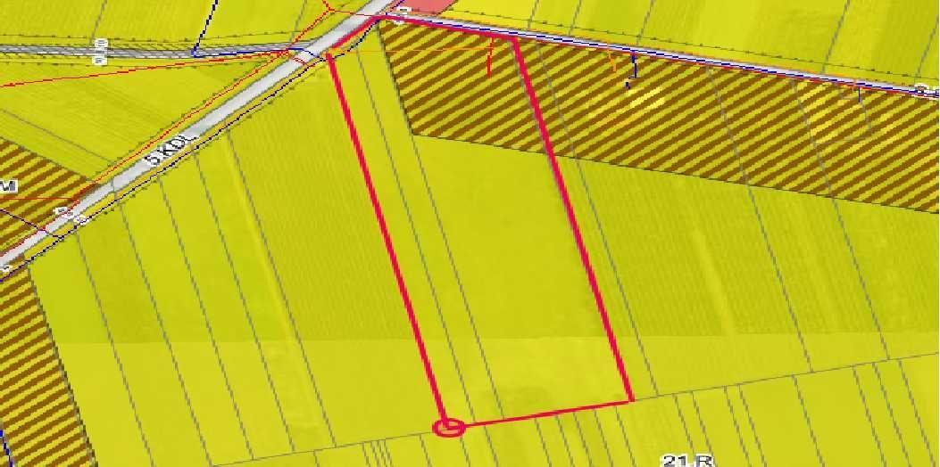 Działka rolno-budowlana Świdrygały. Zdjęcie 3