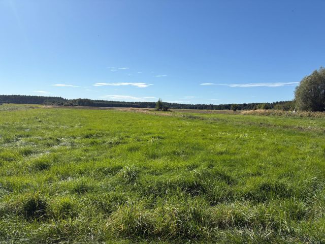 Działka budowlana Miłogostowice. Zdjęcie 1