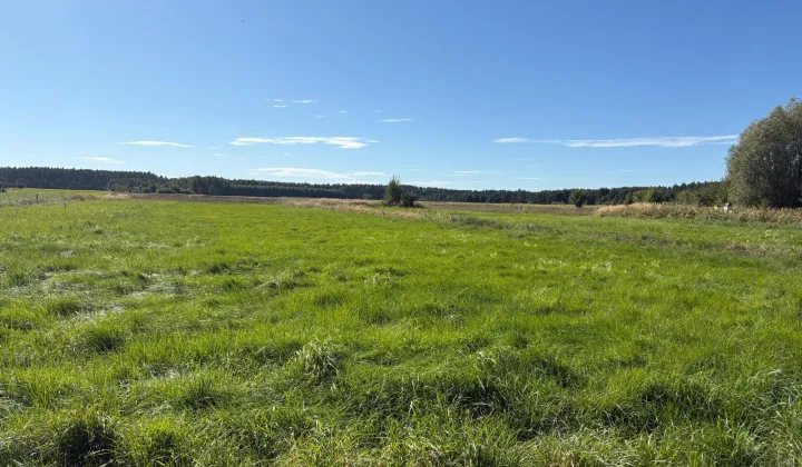 Działka budowlana Miłogostowice