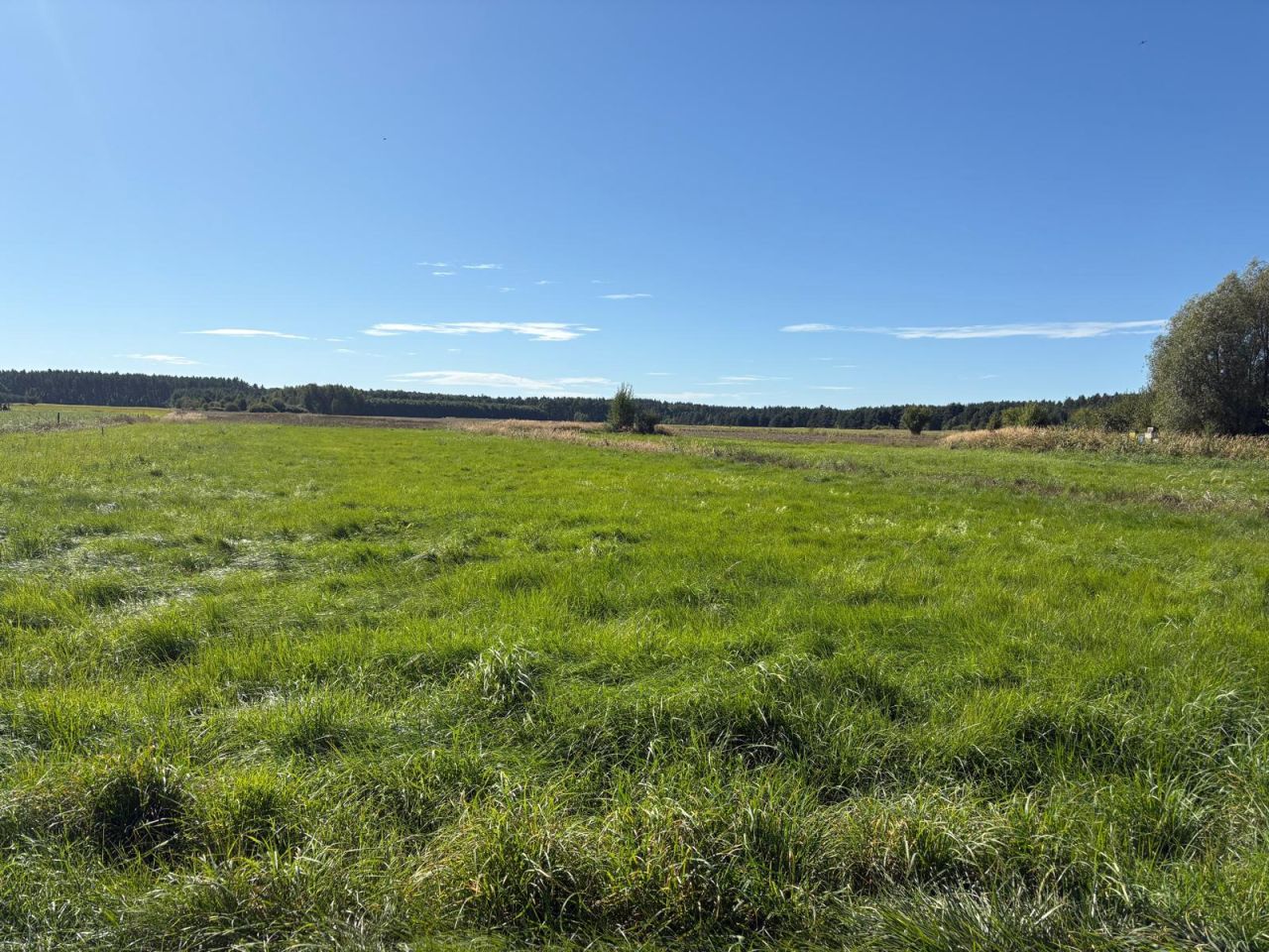 Działka budowlana Miłogostowice