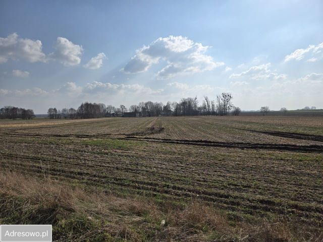 Działka rolna Turów. Zdjęcie 1