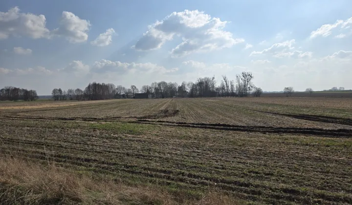 Działka rolna Turów