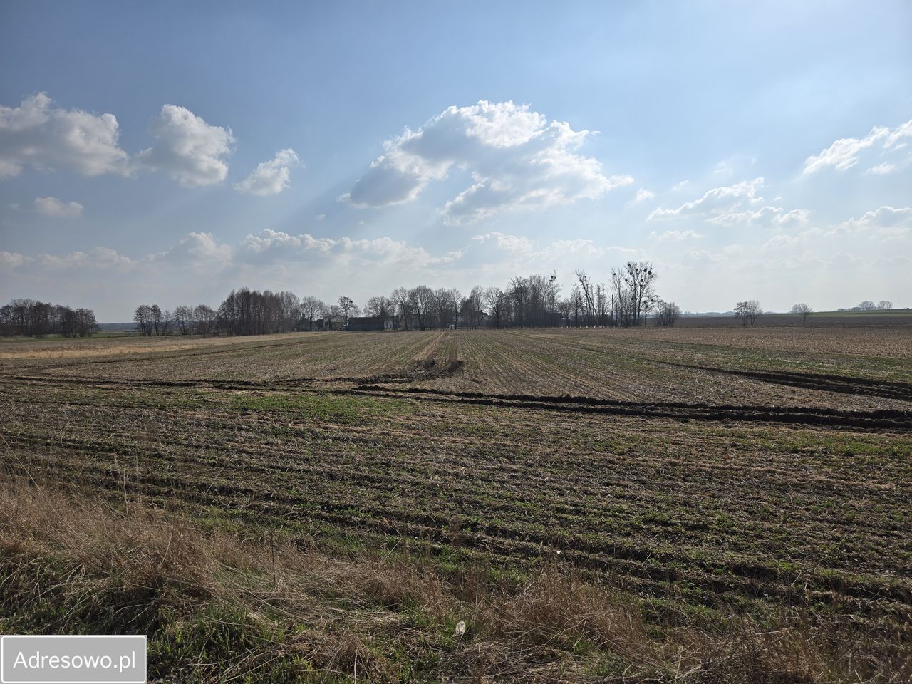 Działka rolna Turów. Zdjęcie 1