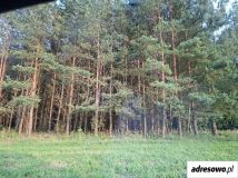 Działka Radziki Duże. Zdjęcie 1