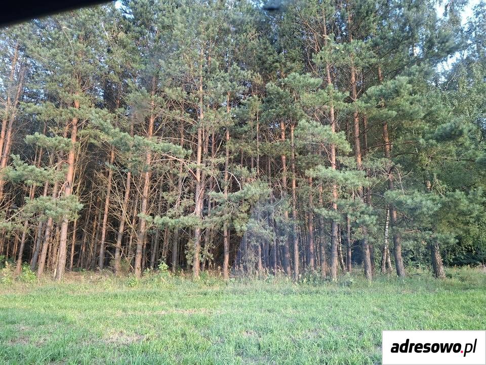 Działka Radziki Duże. Zdjęcie 2