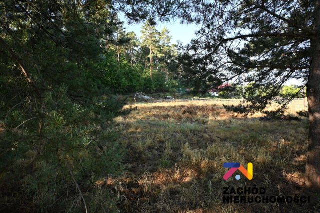 Działka budowlana Wilkanowo. Zdjęcie 2