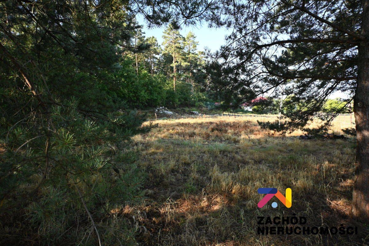 Działka budowlana Wilkanowo. Zdjęcie 2