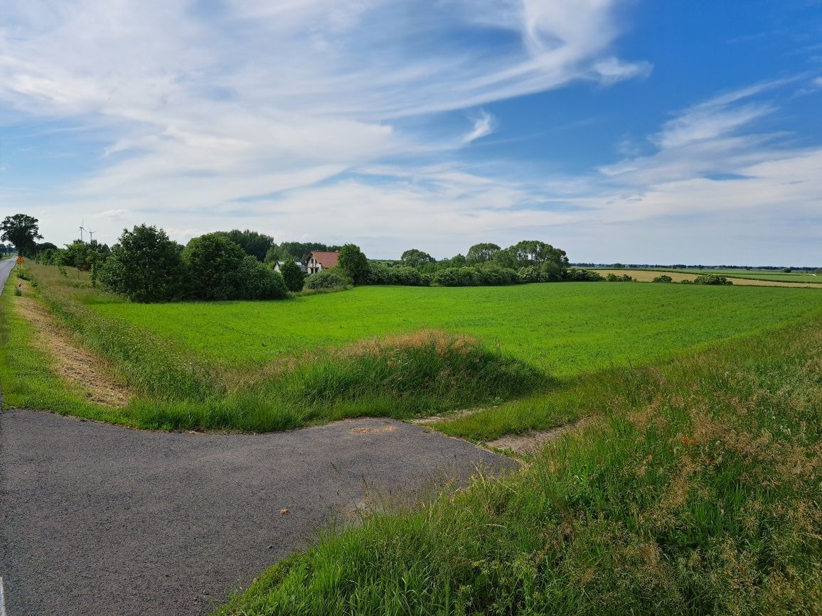 Działka siedliskowa Laseczno. Zdjęcie 3