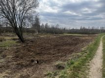 Działka rolno-budowlana Nowy Wiec. Zdjęcie 4