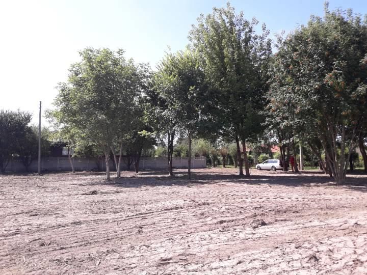 Działka budowlana Błonie. Zdjęcie 2