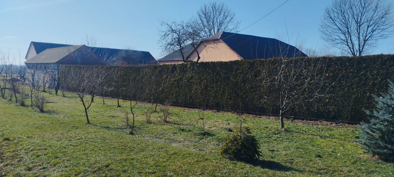 dom wolnostojący, 3 pokoje Czernięcin Poduchowny, Czernięcin Poduchowny. Zdjęcie 22