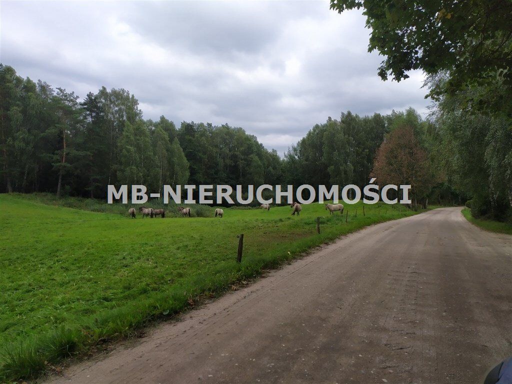 Działka siedliskowa Mątki. Zdjęcie 5