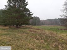 Działka rolna Nowe Kwiejce. Zdjęcie 2