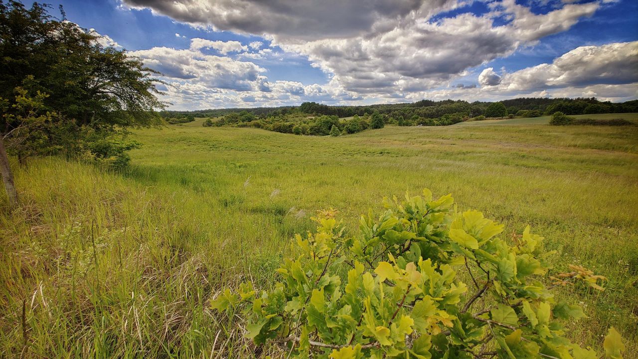 Działka rolna Łęgowo. Zdjęcie 11