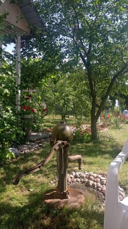 Działka rod Białystok Piasta, ul. Dojnowska. Zdjęcie 7