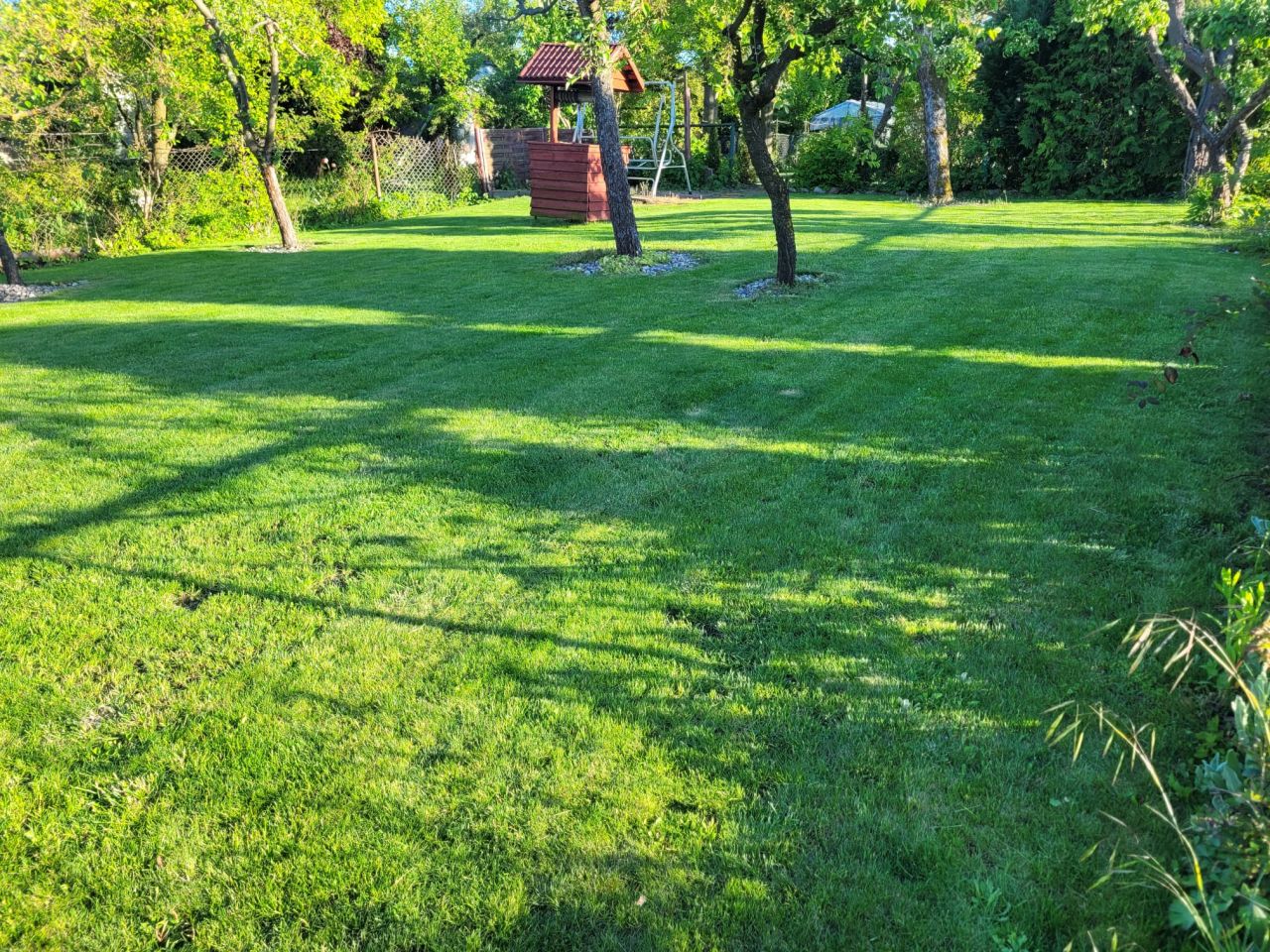 Działka rod Tczew, ul. Targowa. Zdjęcie 7