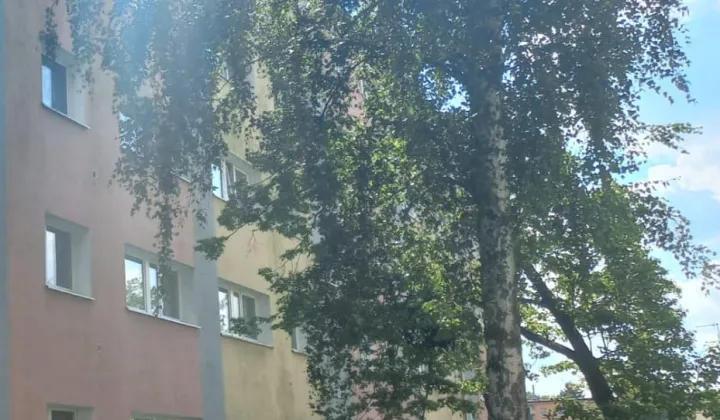 Mieszkanie 3-pokojowe Poznań Grunwald, ul. Poranek