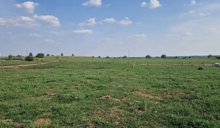 Działka budowlana Nowe Guty