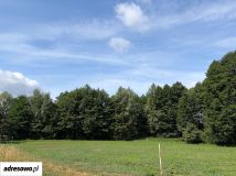 Działka rekreacyjna Ludwinów, ul. Rubinowa. Zdjęcie 2