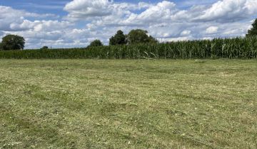 Działka budowlana Dobrzyniewo Duże