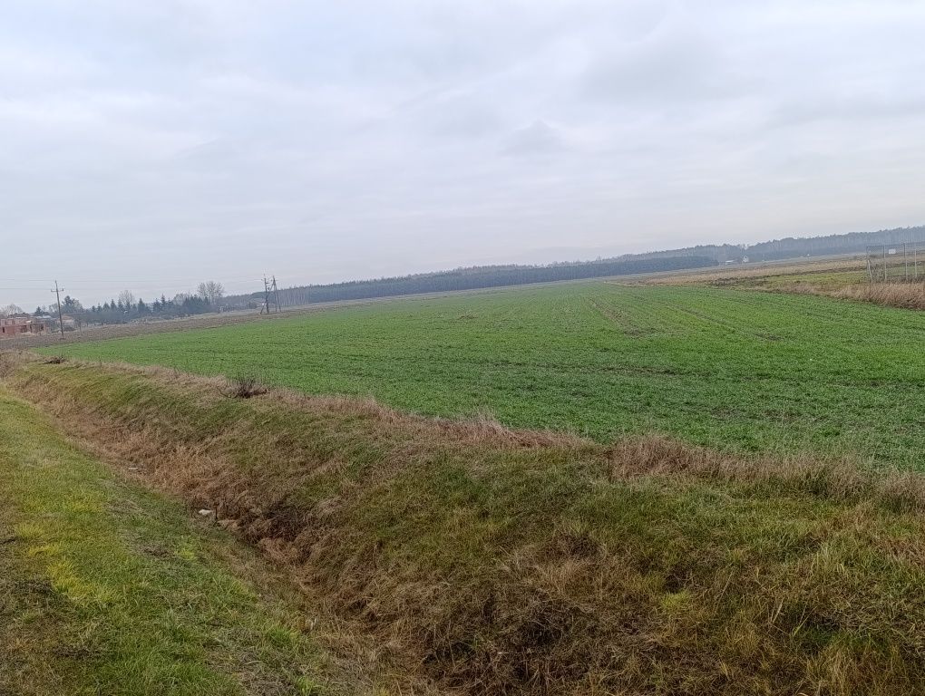 Działka rolno-budowlana Kisiele. Zdjęcie 3