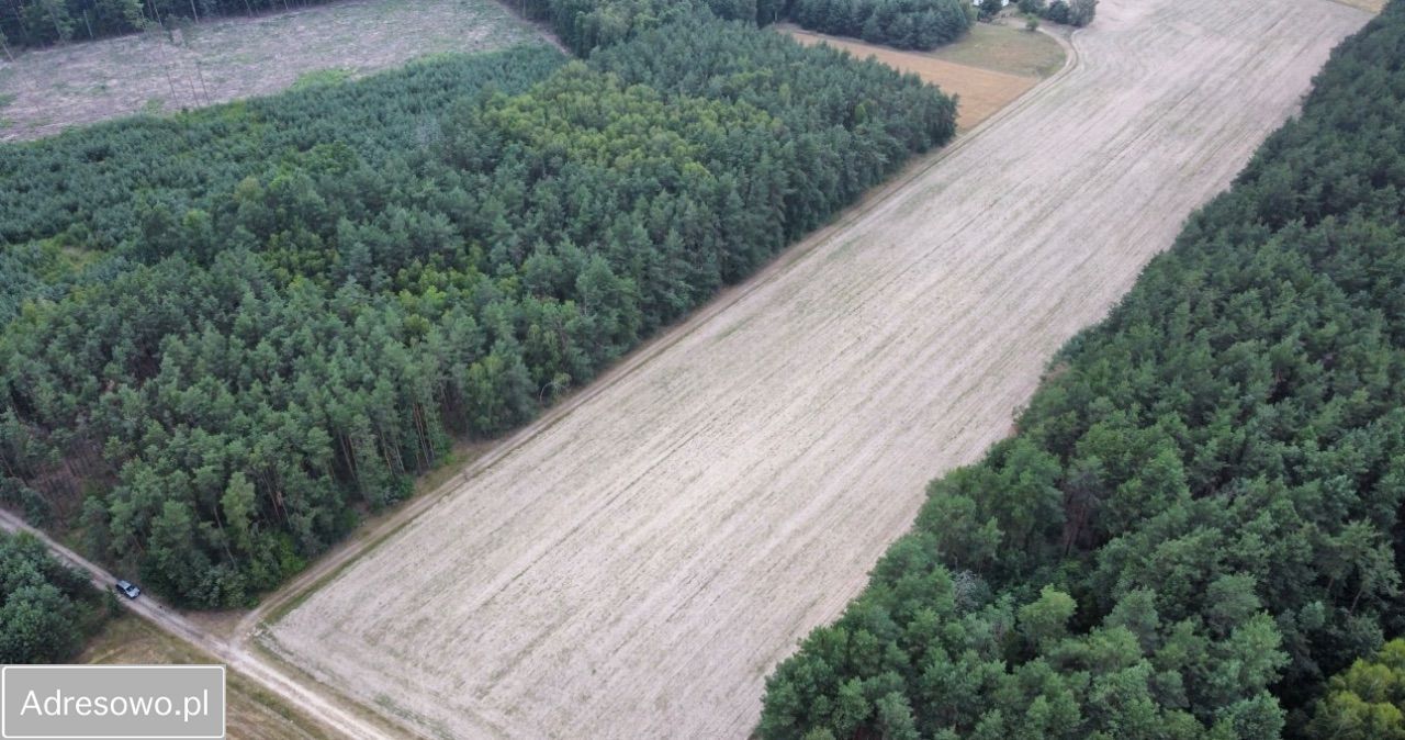 Działka budowlana Szachy Tryb. Zdjęcie 2