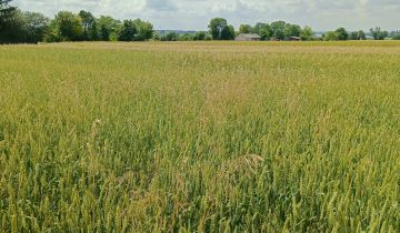 Działka budowlana Depułtycze Królewskie