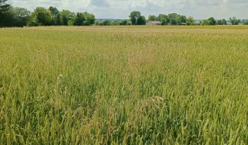 Działka na sprzedaż bez pośredników 
 
 Ochoża-Kolonia - Widok 5