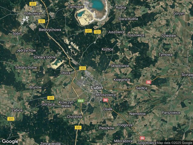 Działka rod Lubin Centrum, ul. Spacerowa. Zdjęcie 1