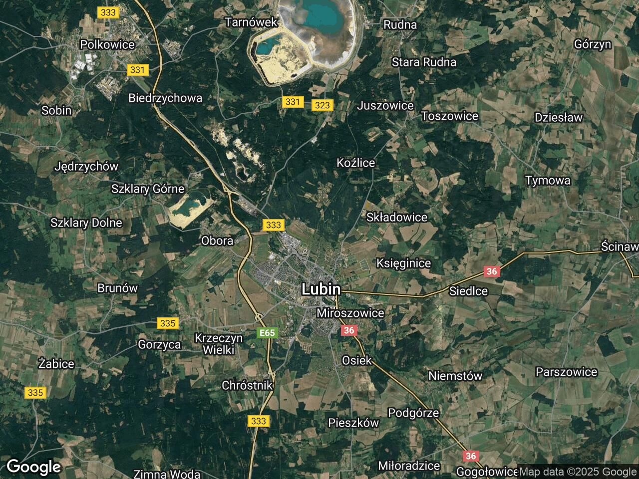 Działka rod Lubin Centrum, ul. Spacerowa