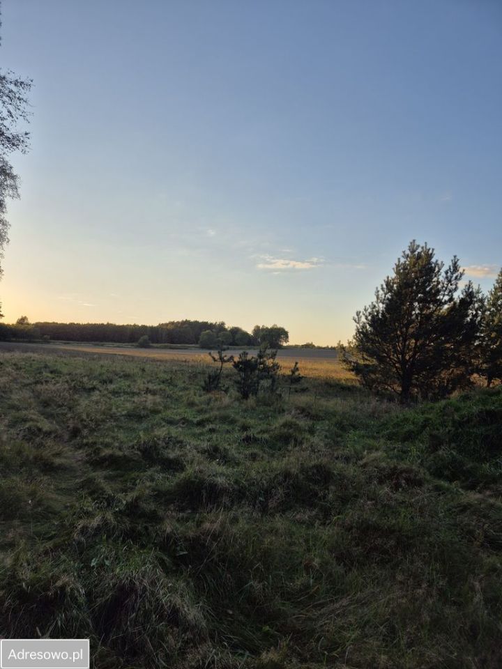 Działka budowlana Niedoradz. Zdjęcie 2