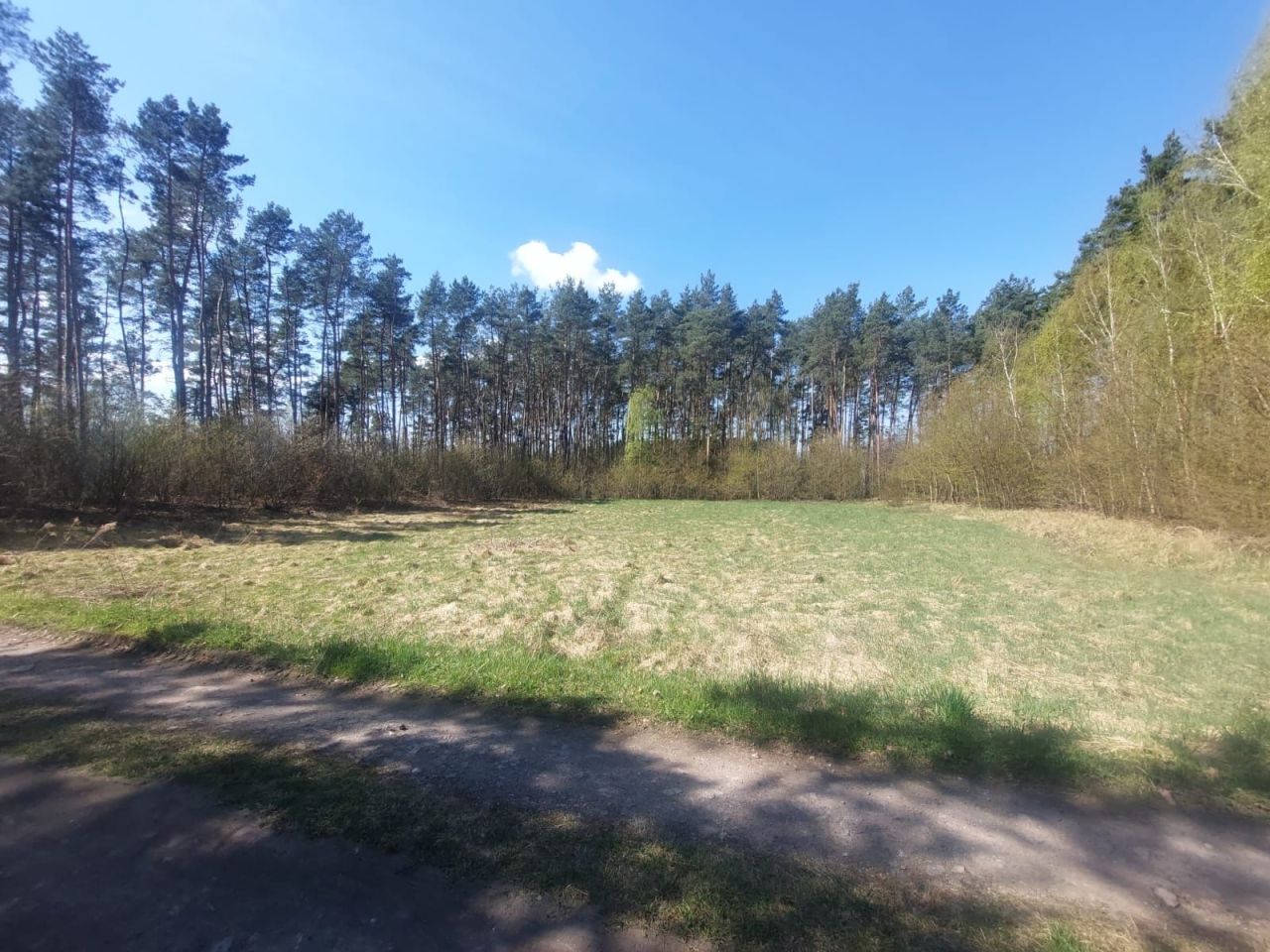 Działka budowlana Obrowo, ul. Sarnia. Zdjęcie 7