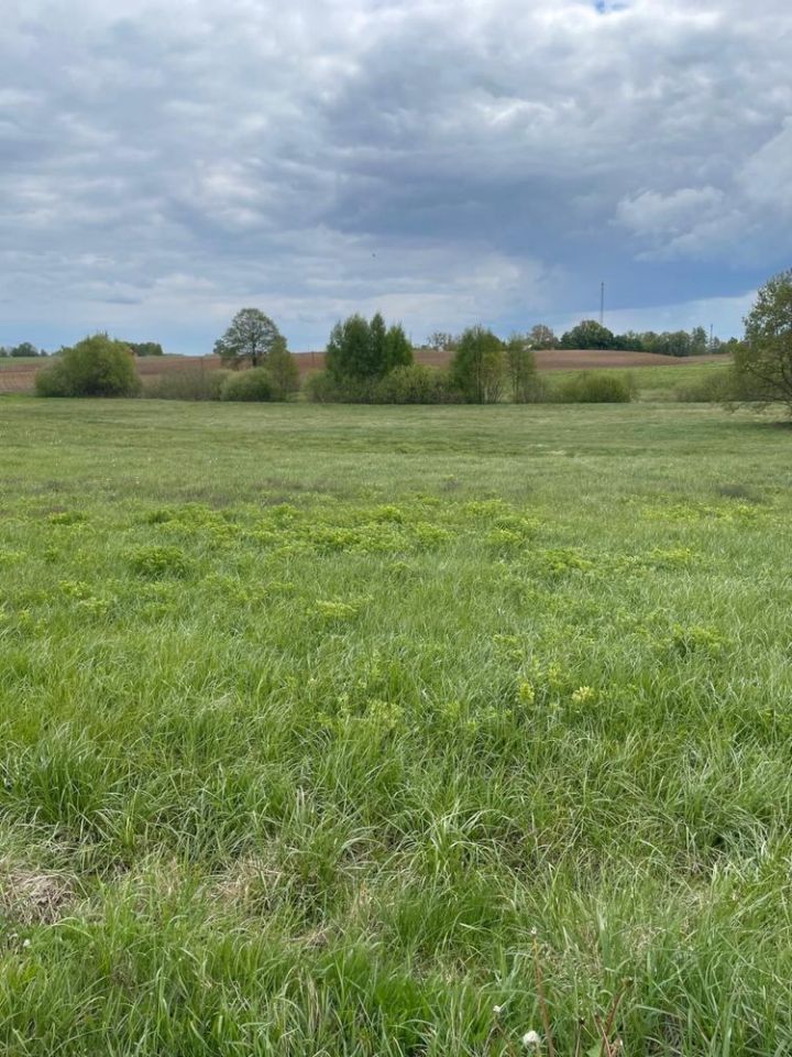 Działka rolno-budowlana Bargłów Dworny. Zdjęcie 3