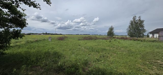 Działka rolno-budowlana Przemocze. Zdjęcie 1