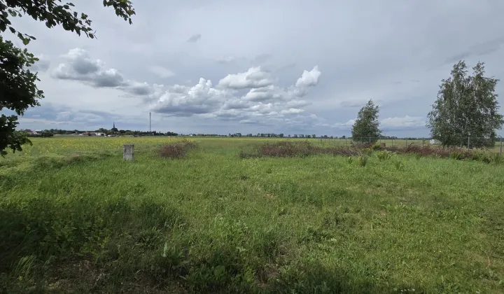 Działka rolno-budowlana Przemocze