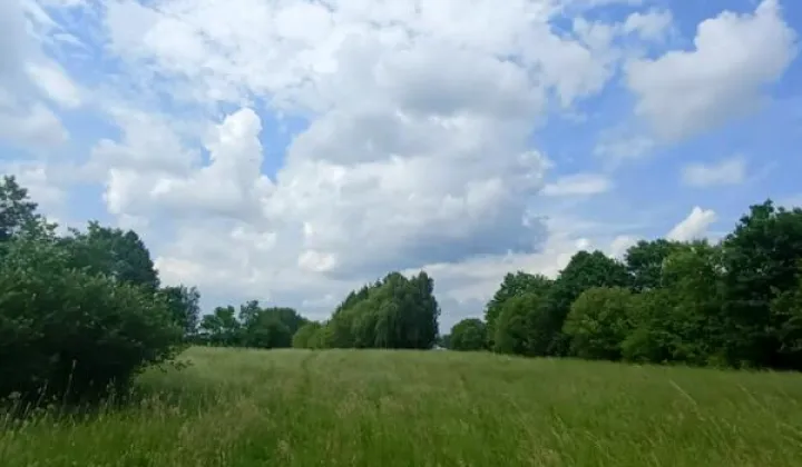 Działka Świerzowa Polska