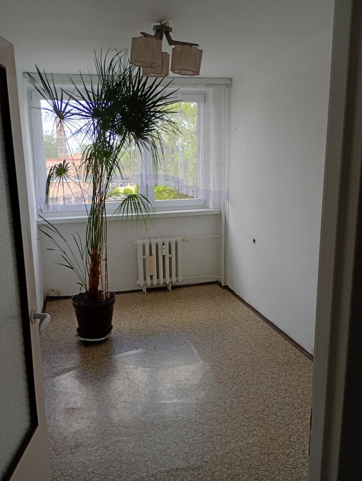 Mieszkanie 3-pokojowe Pyskowice, ul. Szpitalna. Zdjęcie 3