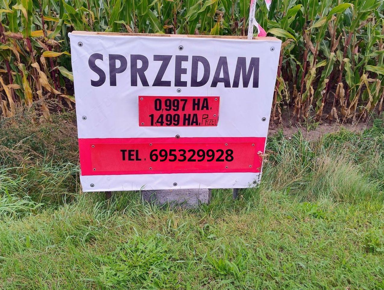 Działka rolna Mniszki. Zdjęcie 3