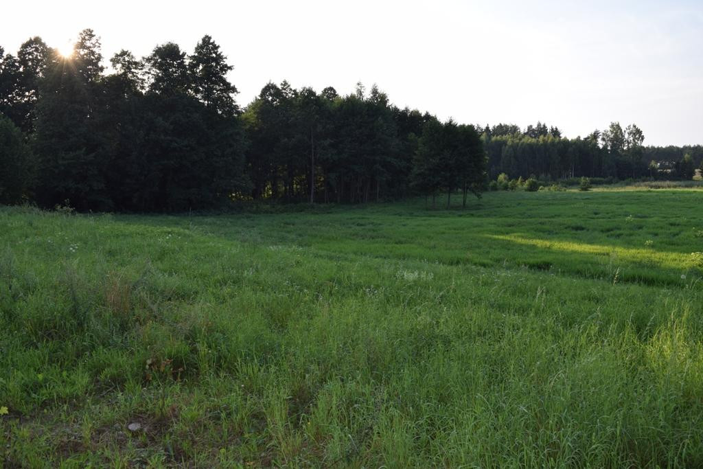 Działka budowlana Rydzewo. Zdjęcie 3