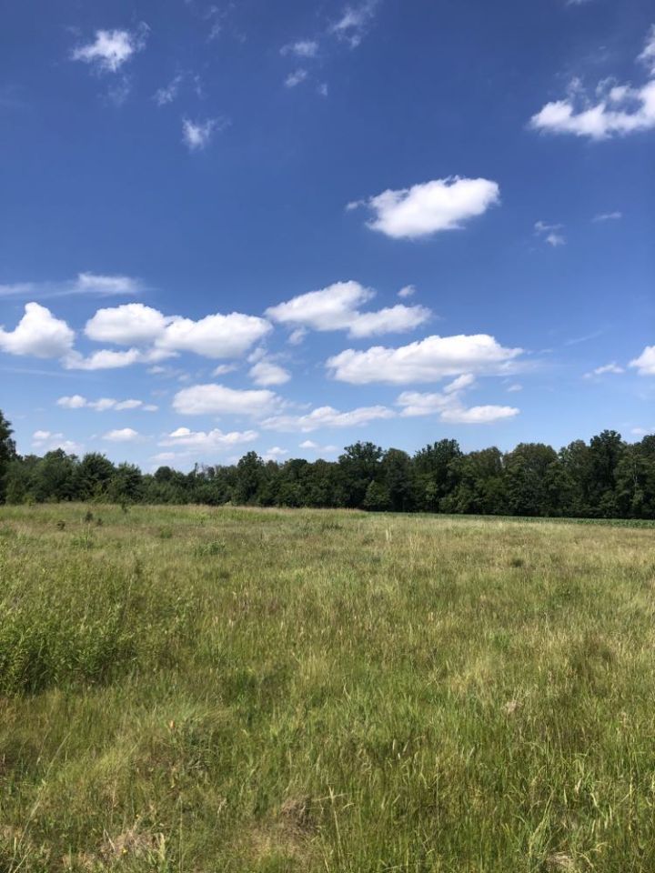 Działka budowlana Benenard, ul. Bukowa. Zdjęcie 3