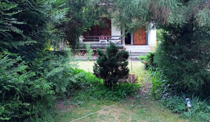 Działka rod Justynów, ul. Hulanka