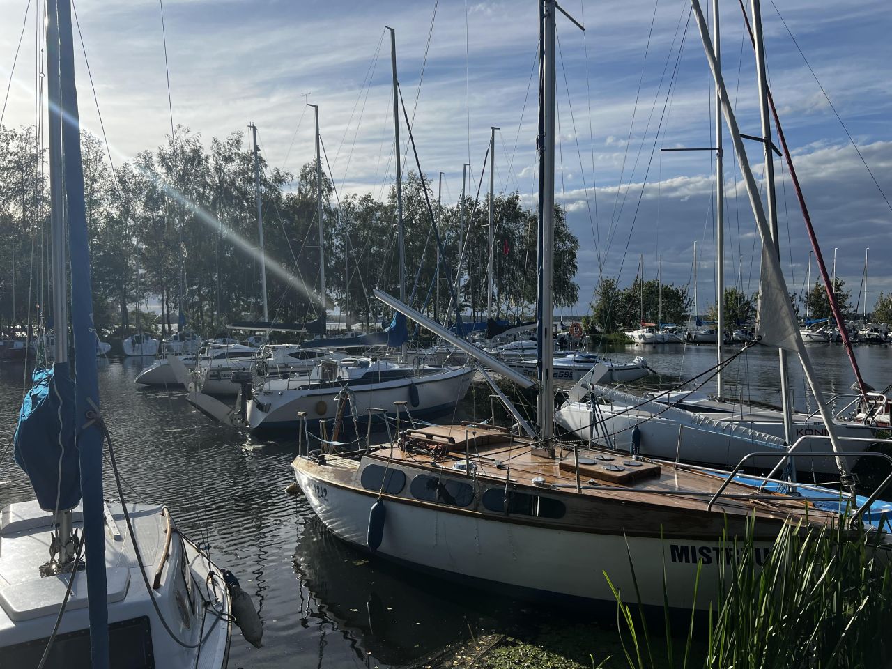 Działka budowlana Michałów-Grabina, ul. Wierzbowa. Zdjęcie 24
