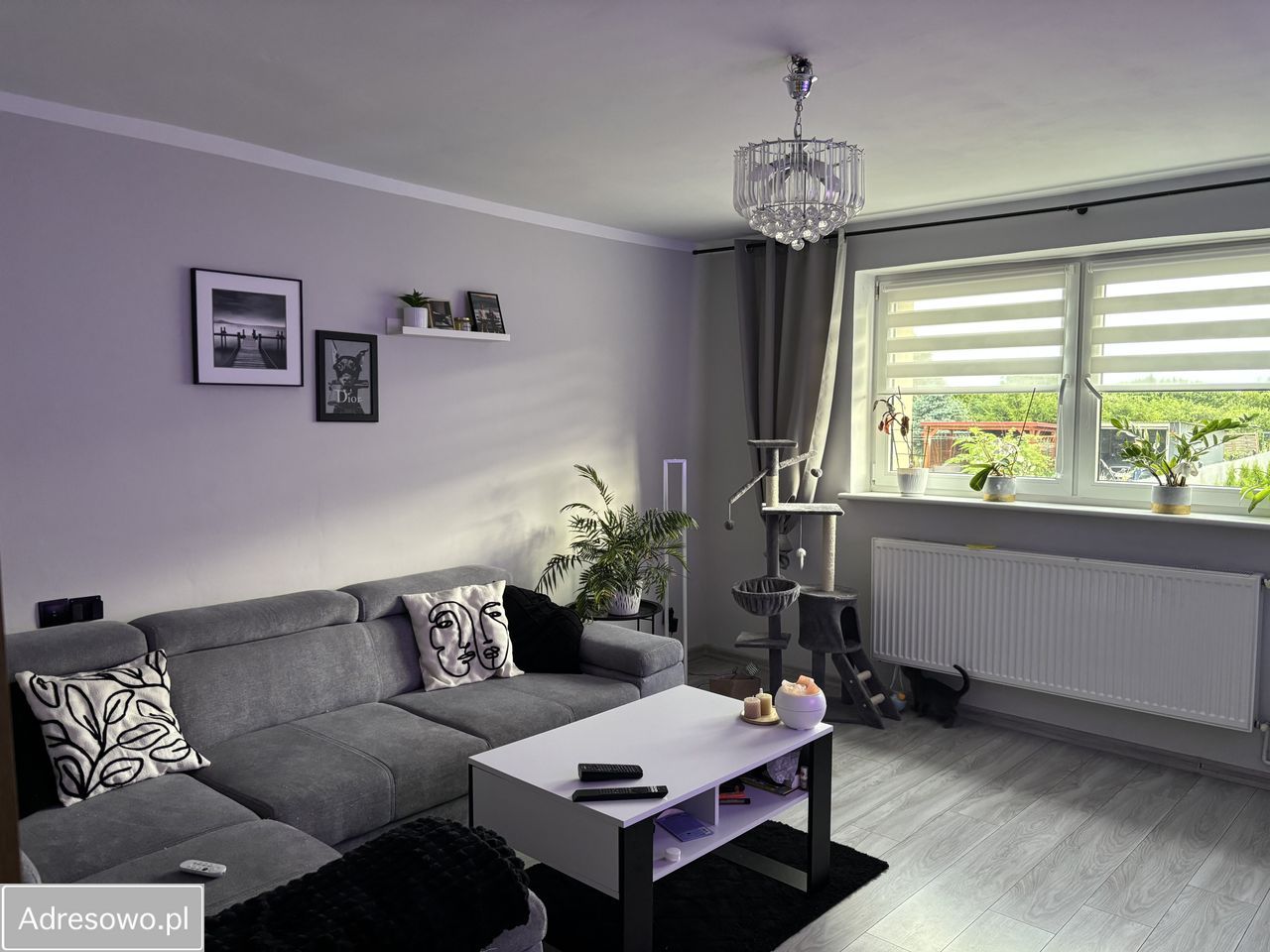 Mieszkanie 3-pokojowe Smoleń