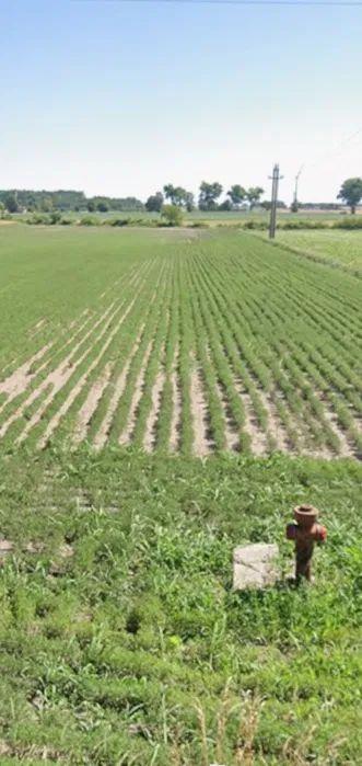 Działka budowlana Czołówek. Zdjęcie 4